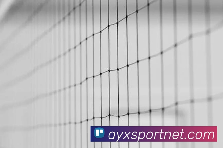 爱游戏体育平台生态图