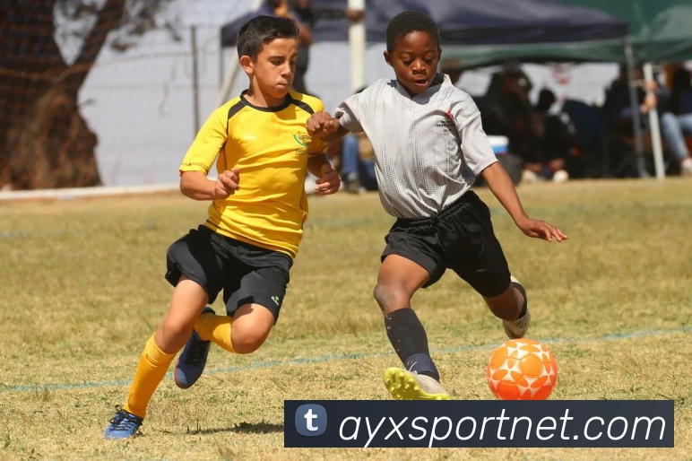 爱游戏体育全站App 爱游戏体育全站App